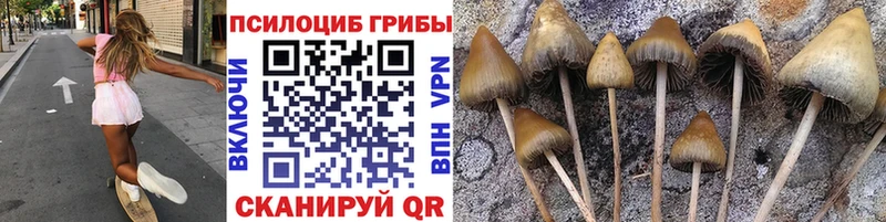 наркошоп  Асбест  Галлюциногенные грибы прущие грибы 